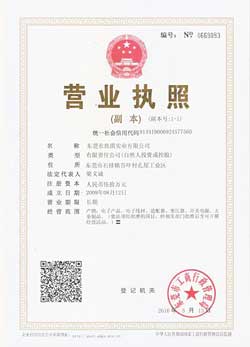 The business license